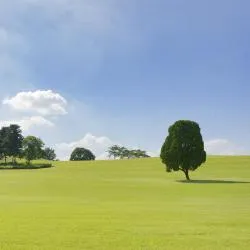 オリンピック公園, ソウル