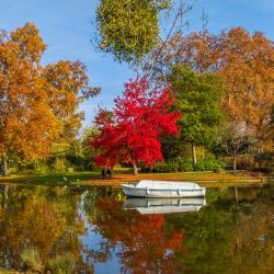 Bois de Vincennes