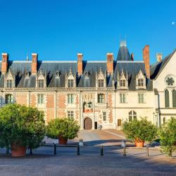 Kastil Blois