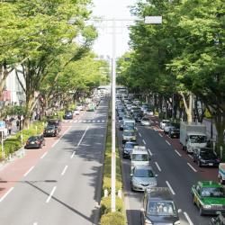 אומוטסנדו, טוקיו