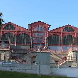 Ferreira Borges Market, Porto