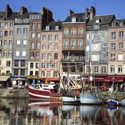 Honfleur's Old Harbour