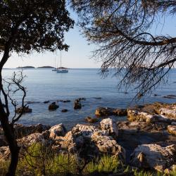 Zlatni Rt -metsäpuisto