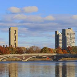 Universidad de Harvard