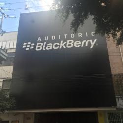 Blackberry Forum