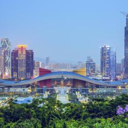 Estación de tren Centro Cívico de Shenzen