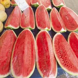 트로기르 그린 마켓, 트로기르