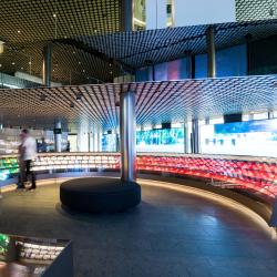 FIFA maailma jalgpalli muuseum, Zürich