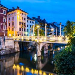 Cobblers' Bridge Ljubljana, Lublaň
