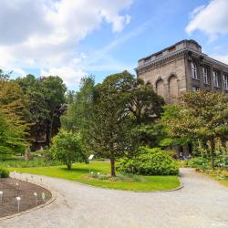 Ogród botaniczny w Antwerpii