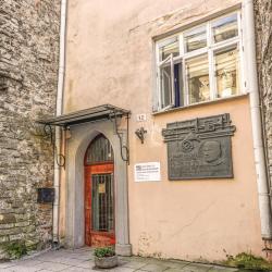 Estonian Theatre and Music Museum, Талин