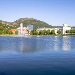 Bergen Art Museum, Bergena