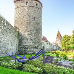 Muralla de Tallin