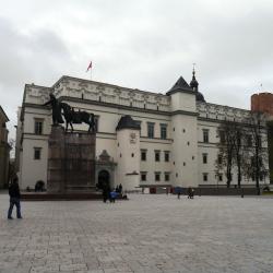 Lietuvos Didžiosios Kunigaikštystės valdovų rūmai, Vilnius