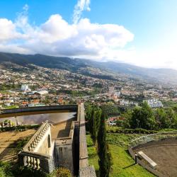 Pico dos Barcelos Viewpoint