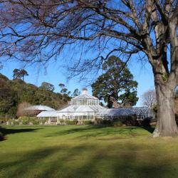 Botanischer Garten Dunedin