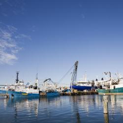 Fremantle Fishing Boat Harbour