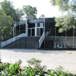 Museum of Modern Art Mexico, Mexiko City