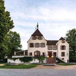 Schloss Binningen