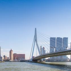 Erasmusbrug, Rotterdam