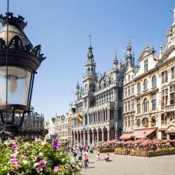 Hôtel de ville de Bruxelles