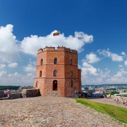 Gediminas' Tower, Vilna