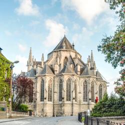 Sainte Waudru Collegiate Church