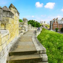 York City Walls