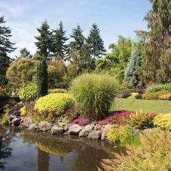 Queen Elizabeth Park