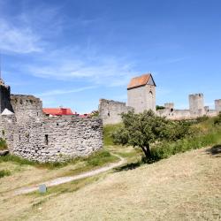 City Wall of Visby, Visbis