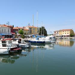Mandrac City Harbour, Новиград