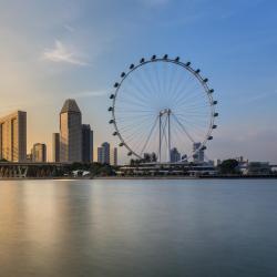 Сингапурское колесо обозрения, Сингапур