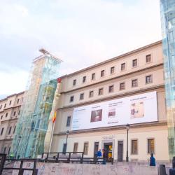 Museu Reina Sofia, Madri