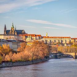Praha loss, Praha