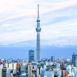 Torn Tokyo Skytree