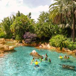 SeaWorld's Discovery Cove