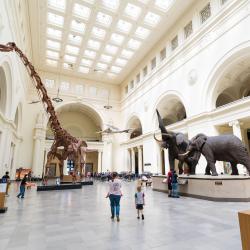Muzeum Historii Naturalnej w Chicago