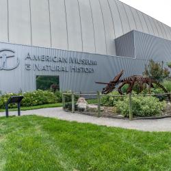 Center of Science and History (COSI)