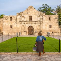 The Alamo