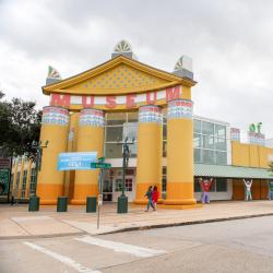 Children's Museum of Houston