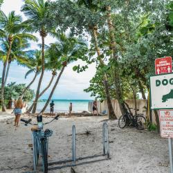 Dog Beach