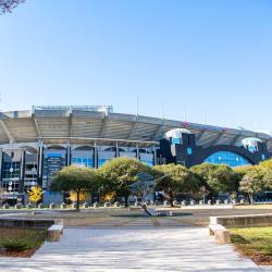 Bank of America Stadium