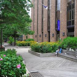 NYU- New York University