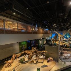 Perot Museum of Nature and Science