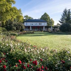 Rosengarten am Elbufer