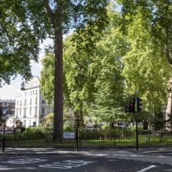 Sussex Gardens Open Space