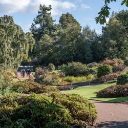 Jardins botànics reials d'Edimburg