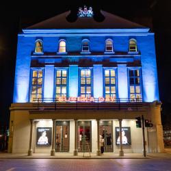 „The Old Vic“ teatras