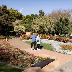 a Roma Street Parkland