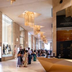 a Carrousel du Louvre